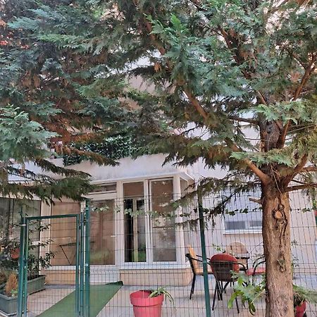 Apartments Vanja Budva Dış mekan fotoğraf
