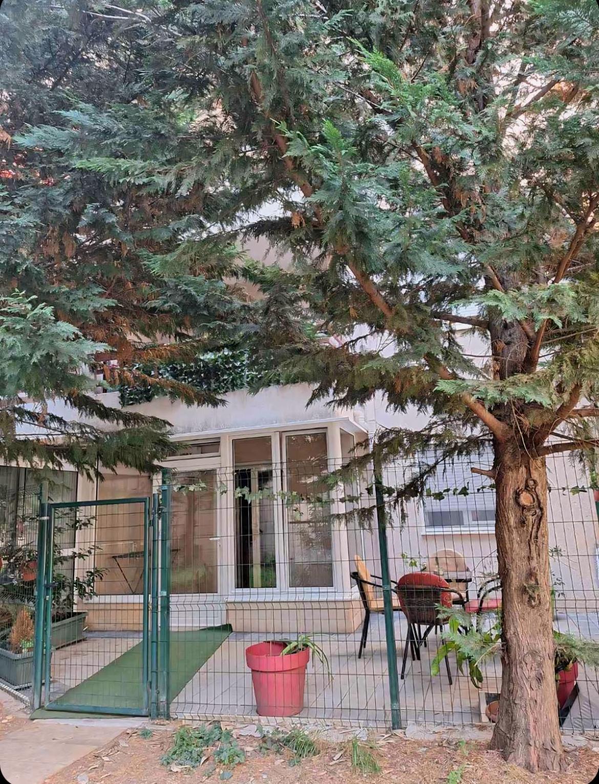 Apartments Vanja Budva Dış mekan fotoğraf